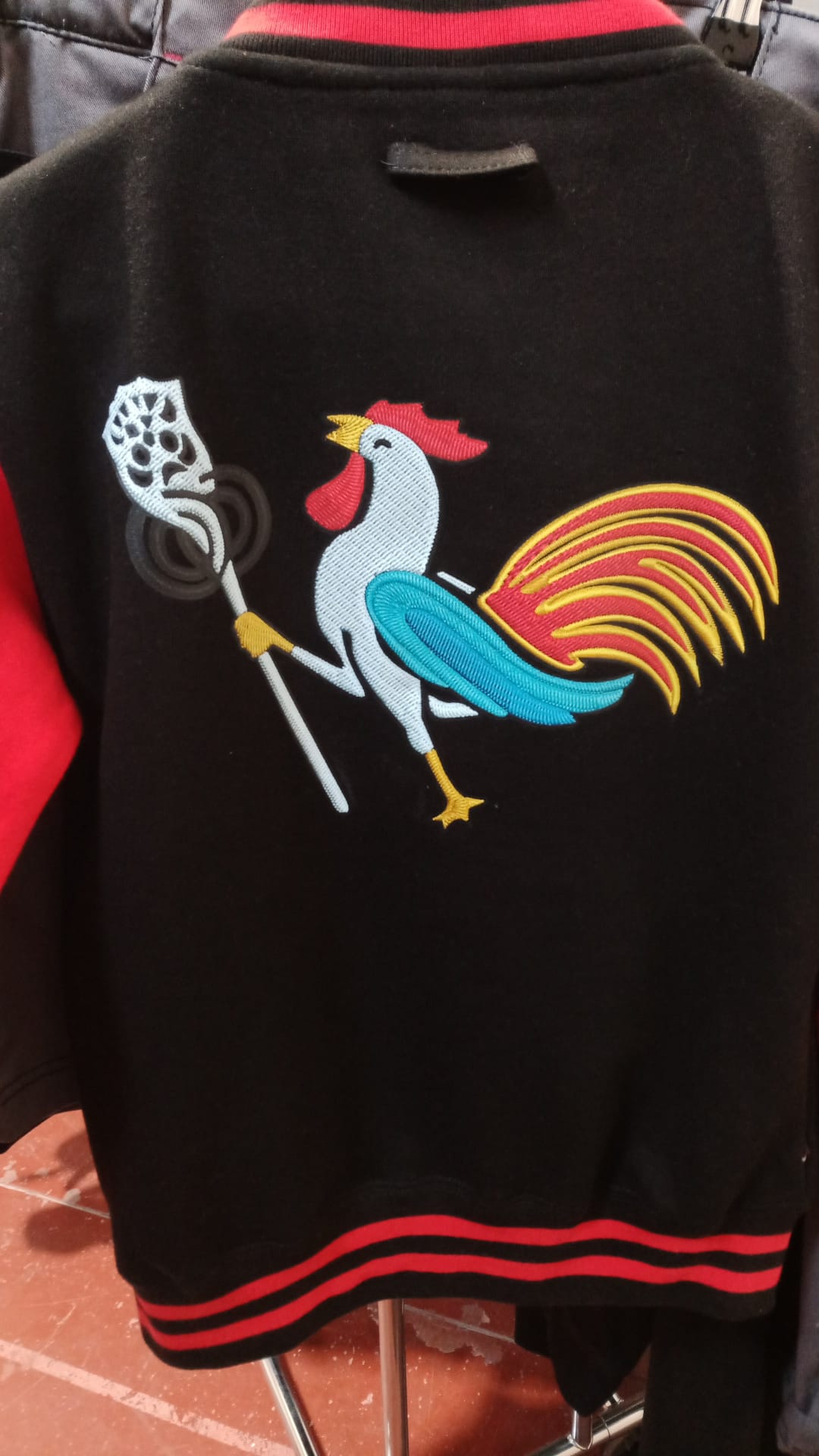 college furia romagnola romagnolo